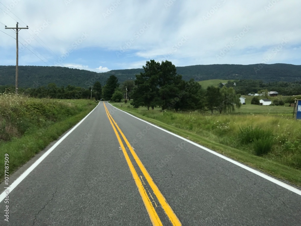 Fototapeta premium road in the countryside