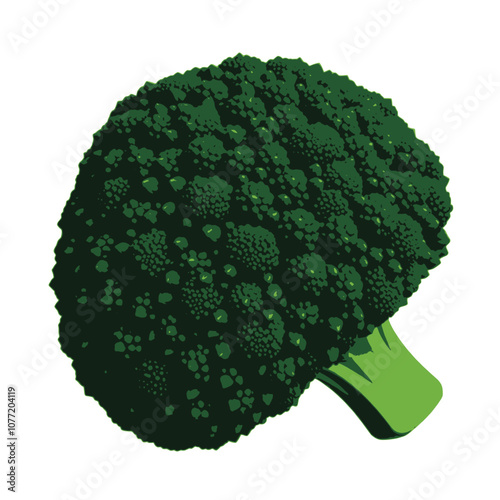 a digital illustration of a large head of broccoli.