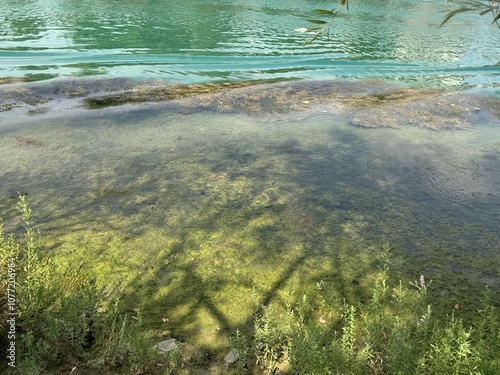 Green moss on stones on the bank of the river. Water and moss texture close-up background. Green moss texture and water, natural vegetable coating. Beautiful tropical background. Beauty and energy. photo