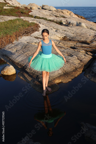 Ocean Dancer