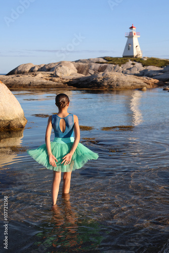 Ocean Dancer