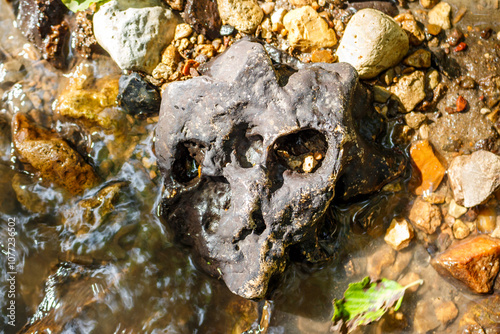 Black stone with cavities in a stream resembling a humanoid skull with a third eye photo