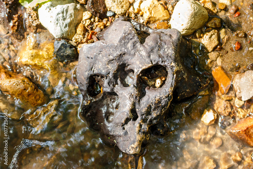 Black stone with cavities in a stream resembling a humanoid skull with a third eye photo