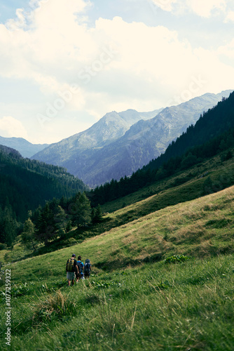 Hikers exploring a scenic mountain landscape in a lush valley during a bright, sunny day