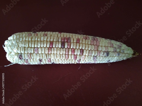 Elote photo