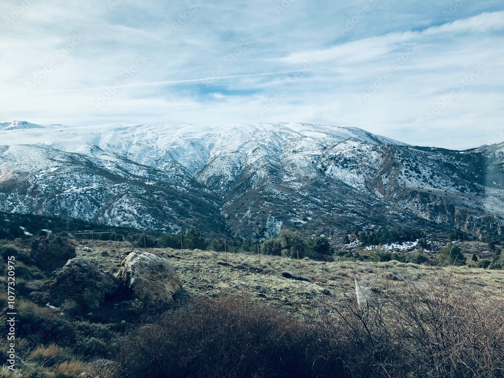 Fototapeta premium snow covered mountains 