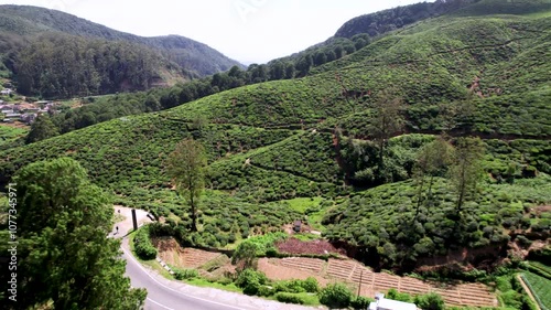 Les champs de thé de Nuwara Eliya vu du ciel, Sri Lanka