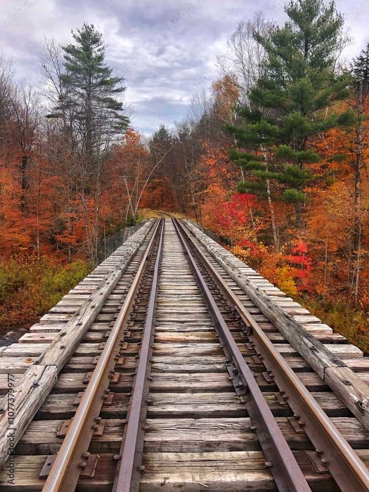 Obraz premium Adirondack railroad