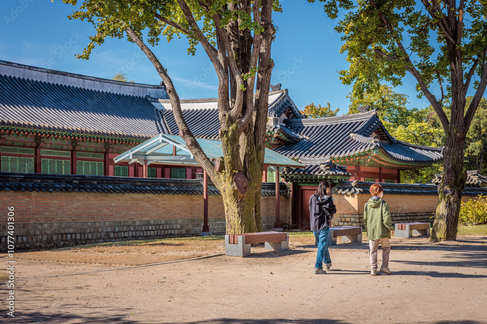 Seoul, South Korea - October 20 2024 Seoul, South Korea - October 20 2024