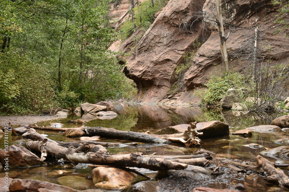 Fototapeta premium Broken tree branches and rocks in forest river by cliff bottom