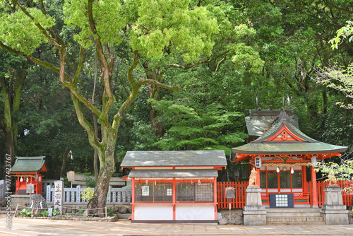 生田神社の戸隠神社と蛭子神社 photo