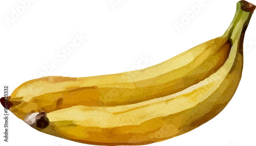 Banana Watercolor Isolated on White Background