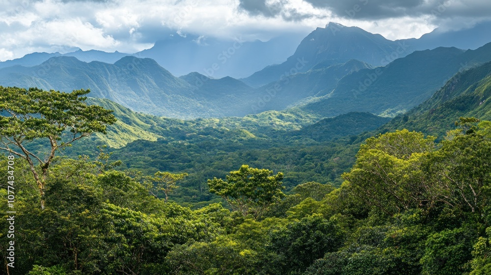 Lush Green Forested Mountains Under a Cloudy Sky Lush Green Forested Mountains Under a Cloudy Sky