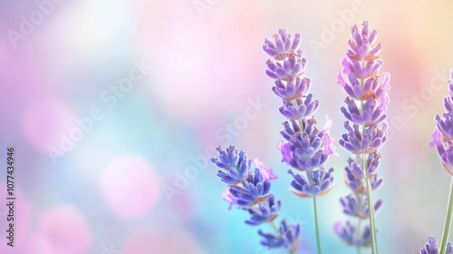 soft pastel gradient from blue to lavender for a delicate and tranquil look