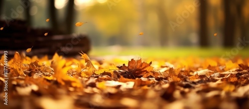 Wallpaper Mural Autumn Leaves in a Golden Forest Torontodigital.ca