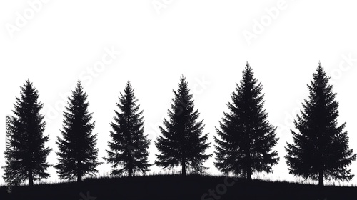 Silhouetted pine forest with varying tree heights against vibrant sky.