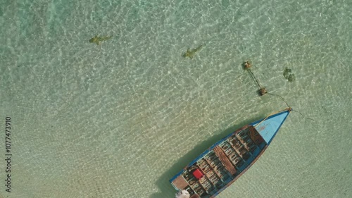 Sharks swimming near wooden old fishing boat in shallow crystal clear water of tropical island beach in French Polynesia. Remote wild nature paradise, exotic travel background. Top down aerial view photo