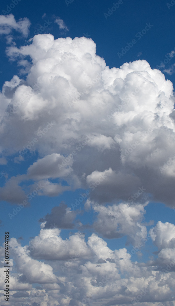 Fototapeta premium blue sky with clouds