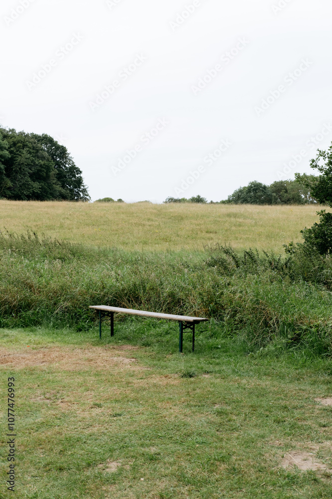 A bench on the background of a green field