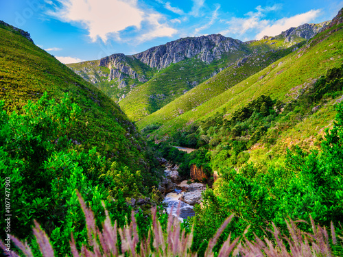 Obraz na płótnie Tradouw River flowing through Langeberg Mountains gorge with blue sky and white clouds, Suurbraak, Overberg, Western Cape, South Africa w salonie