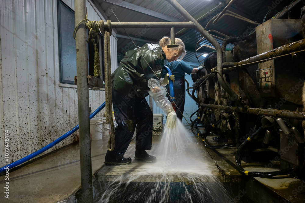 Hosing down the dairy