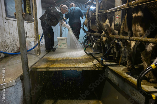 Hosing down the dairy photo