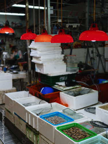 Fish Market with Shellfish and Red Hanging Lamps photo