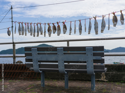 Dried Fish Hanging on Line Above Seaside Bench photo