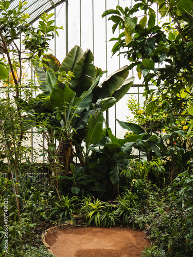 rainforest greenhouse