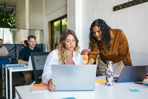 Businesswoman supervising her colleague's work photo