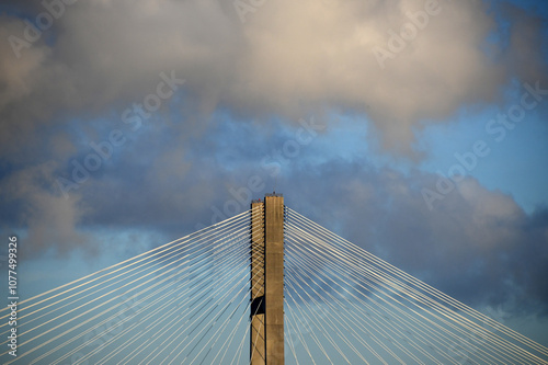 Cable Stayed Bridge Cables  photo