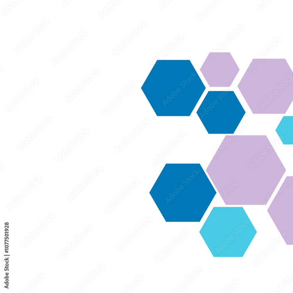 Hexagon Border Hexagon Border