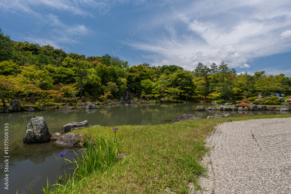 Fototapeta premium Paisaje de jardín japonés 