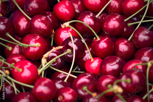 Freshly harvested cherries in a vibrant display at a local market during summer season