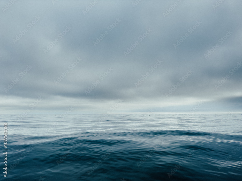 Slightly abstract image of the deep blue sea Slightly abstract image of the deep blue sea