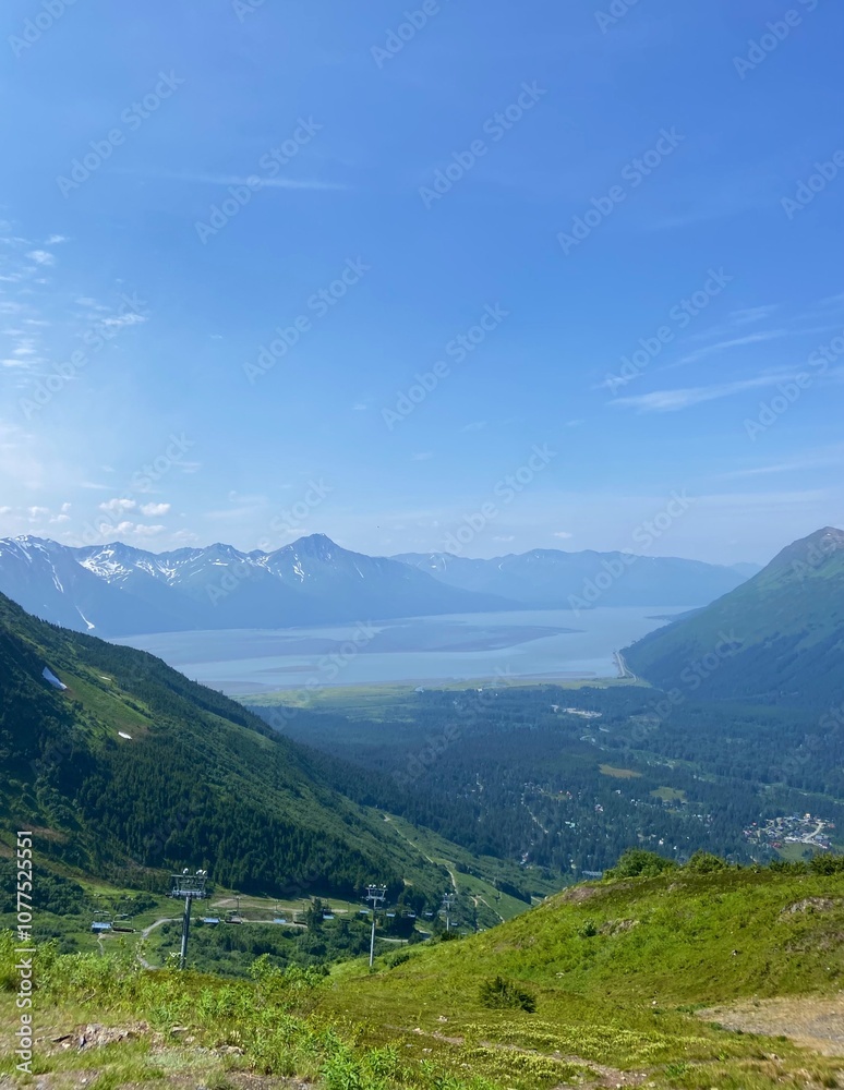 Fototapeta premium Panoramic views of Alaskan mountain range