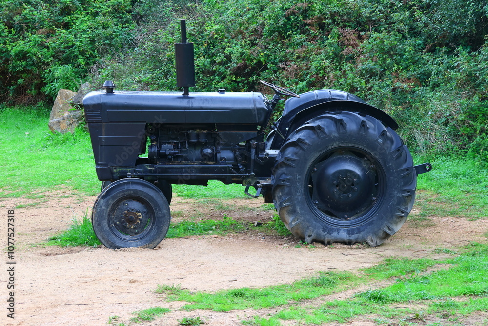 Fototapeta premium old tractor in the field