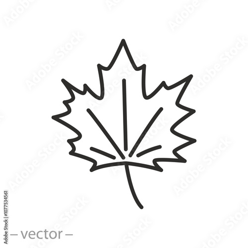 maple leaf icon, fall leaves, concept autumn, thin line symbol on white background - editable stroke vector illustration eps10