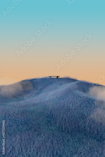 Lonely bench on a hill with blue grass