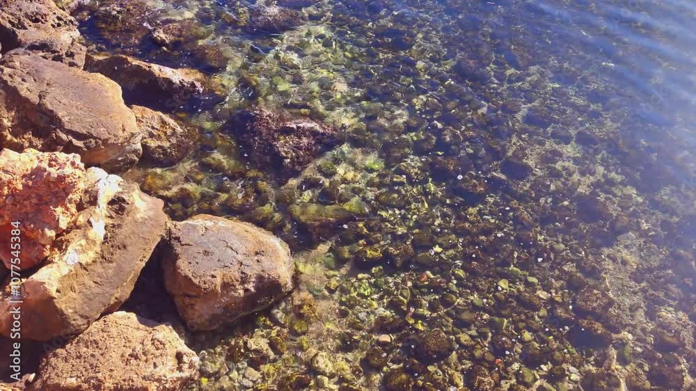 Crystal Clear Sea: Tranquil Ocean Background Crystal Clear Sea: Tranquil Ocean Background
