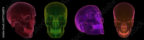 The image is a set of skulls made in the form of a grid frame of different colors on a white background. This is a digital 3D model demonstrating the modeling technique. Vector illustration.