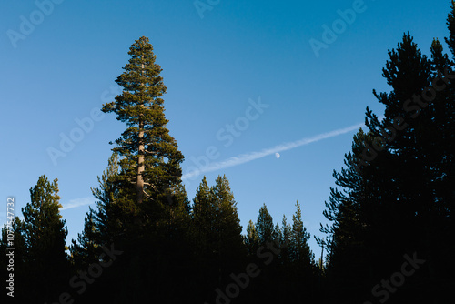 Moon in the blue sky photo