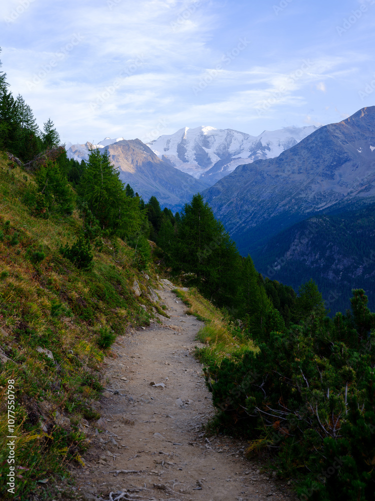 Alpine hiking trail Alpine hiking trail