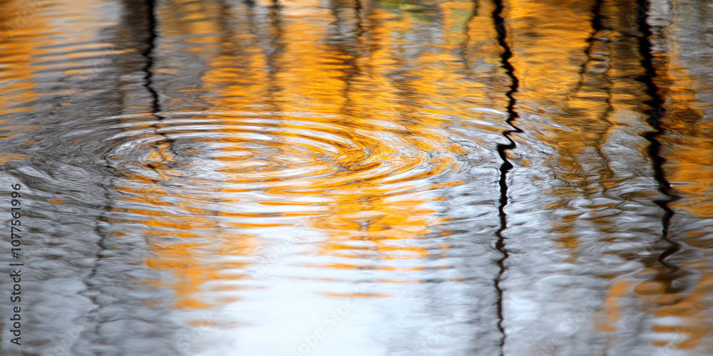 A reflection of trees in a body of water. The water is calm and the trees are in the background A reflection of trees in a body of water. The water is calm and the trees are in the background