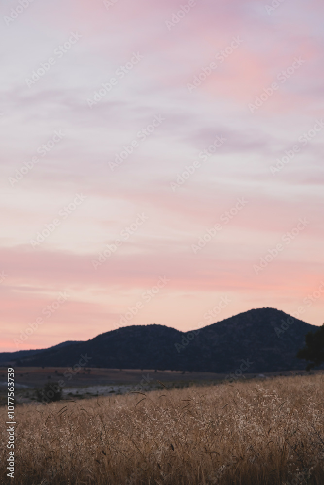 Obraz premium Wheat field mountains and sunset