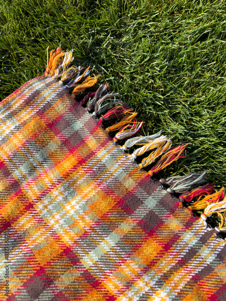 © Raymond Forbes LLC/Stocksy - Autumn Picnic blanket in Grass nobody