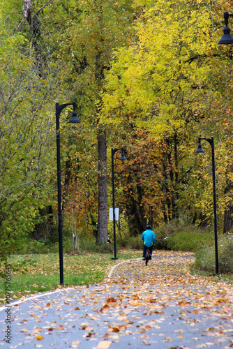 Autumn Bike Path 02 photo