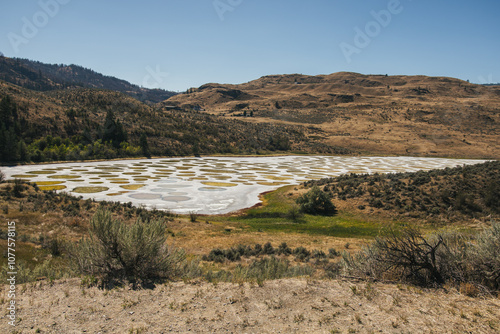 Unique mineral spotted lake in Okanagan region, BC, Canada photo