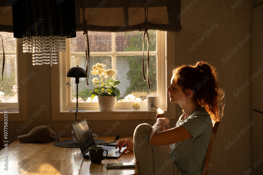 Woman Working from Home Woman Working from Home