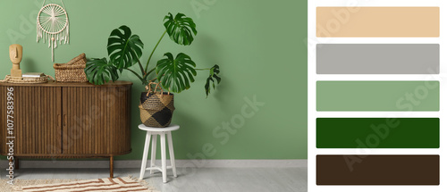 Monstera houseplant and che...